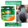 Lolane Natura Hair Treatment for Dry & Damaged 500g